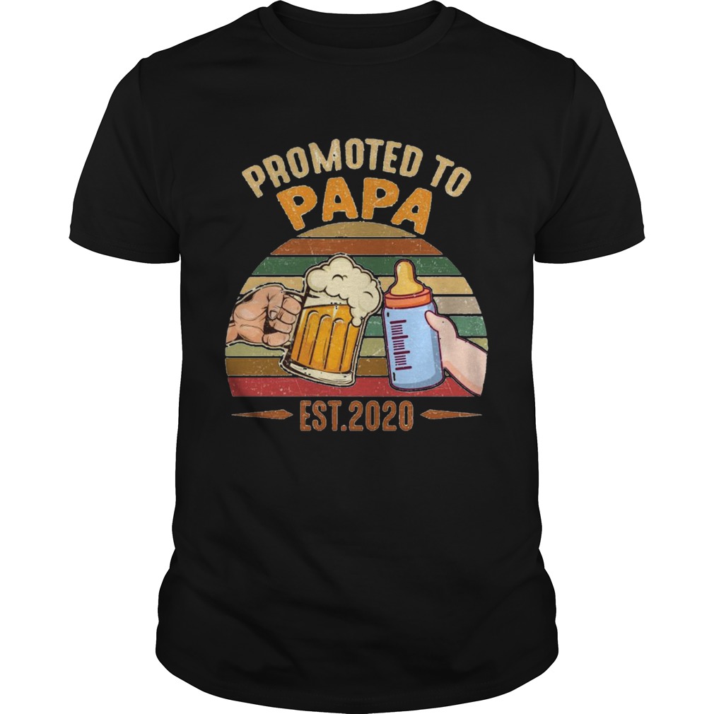 Promoted to papa shirt