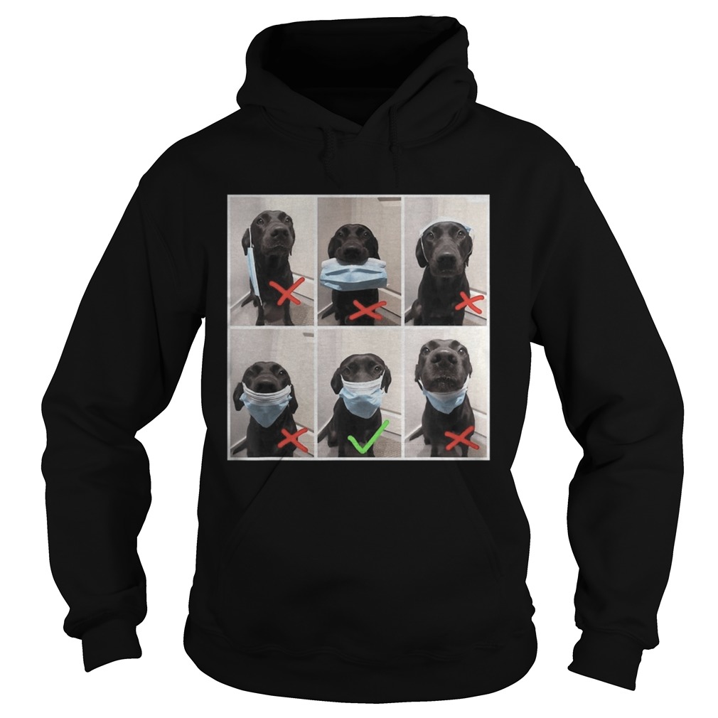 Real dog wear face mask wrong and right social distance  Hoodie