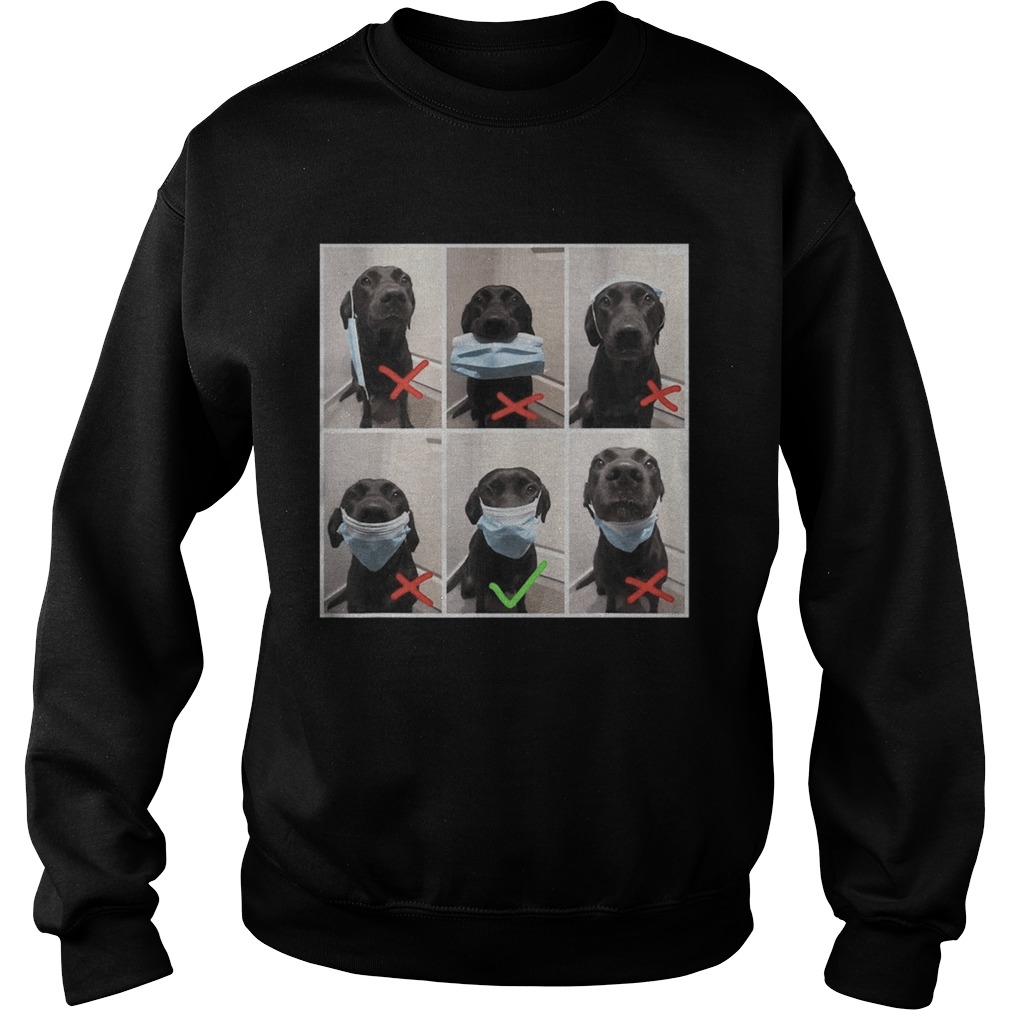 Real dog wear face mask wrong and right social distance  Sweatshirt