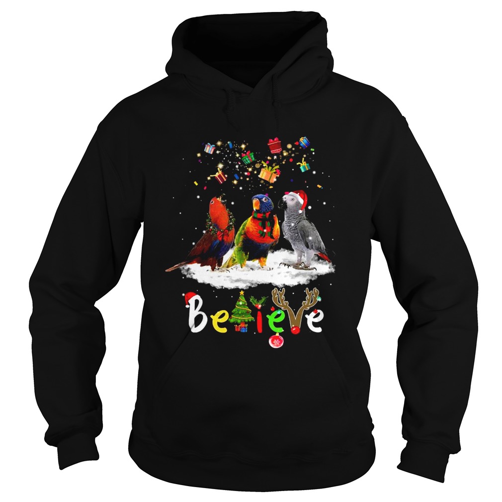 Santa Parrots Believe Christmas  Hoodie