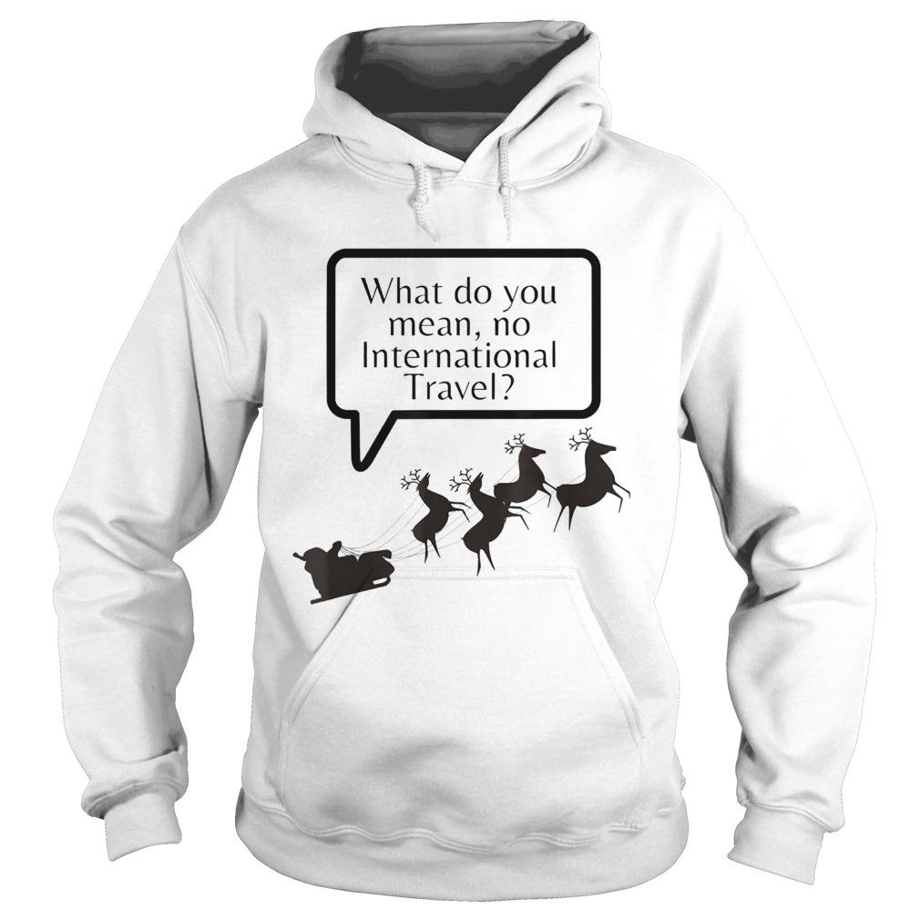 Santa Quarantine No International Flying  Hoodie