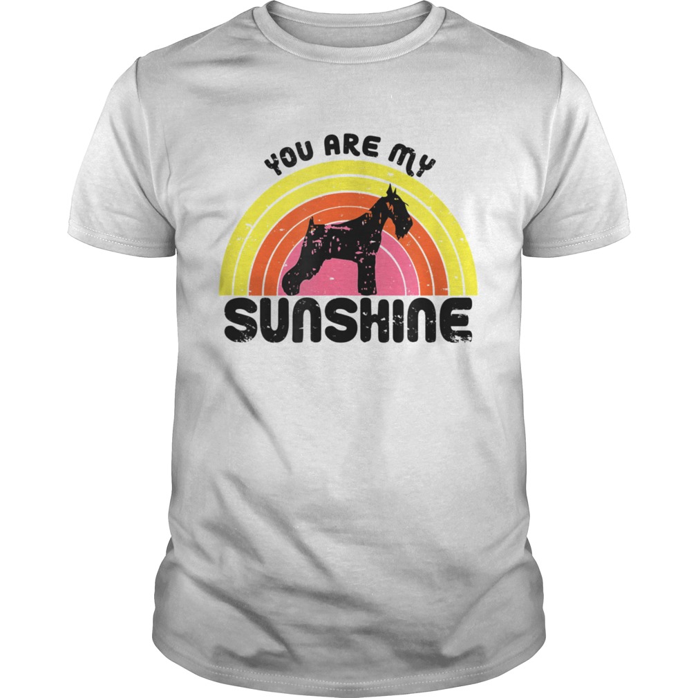 Schnauzer Rainbow You Are My Sunshine shirt