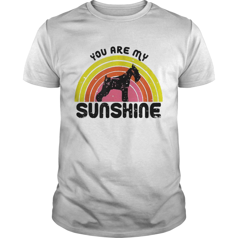 Schnauzer Rainbow You Are My Sunshine shirt