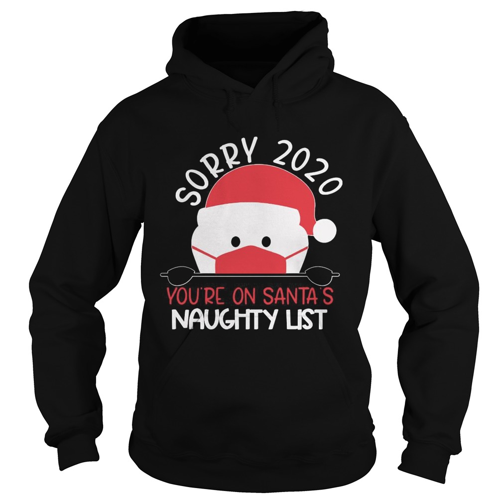 Sorry 2020 Youre On Santas Naughty List  Hoodie