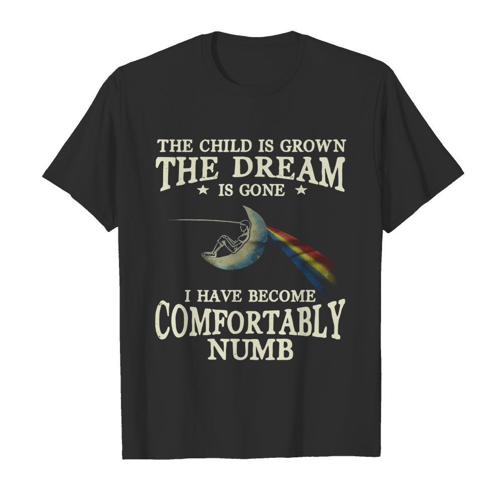 The Child Is Grown The Dream Is Gone I Have Become Comfortably Numb shirt