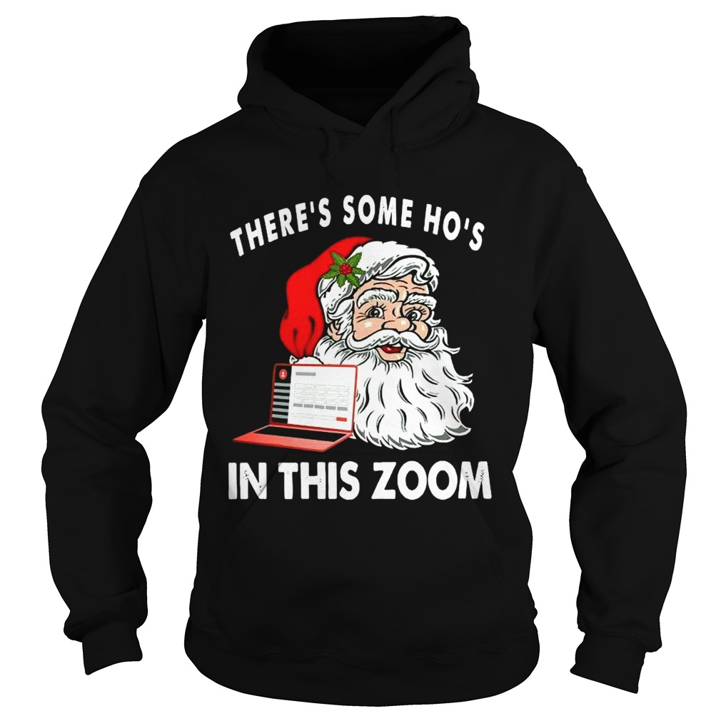 Theres Some Hos In This Zoom  Hoodie