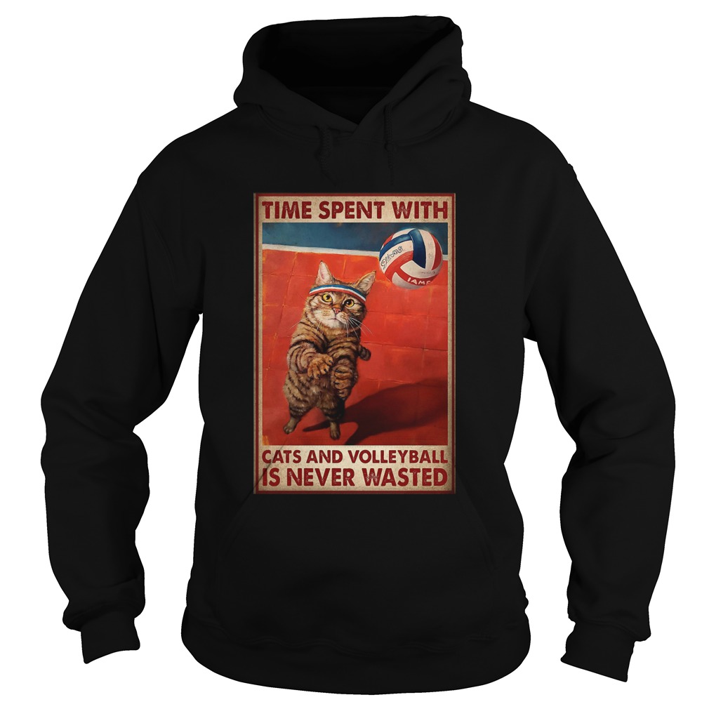 Time Spent With Cats And Volleyball Is Never Wasted  Hoodie