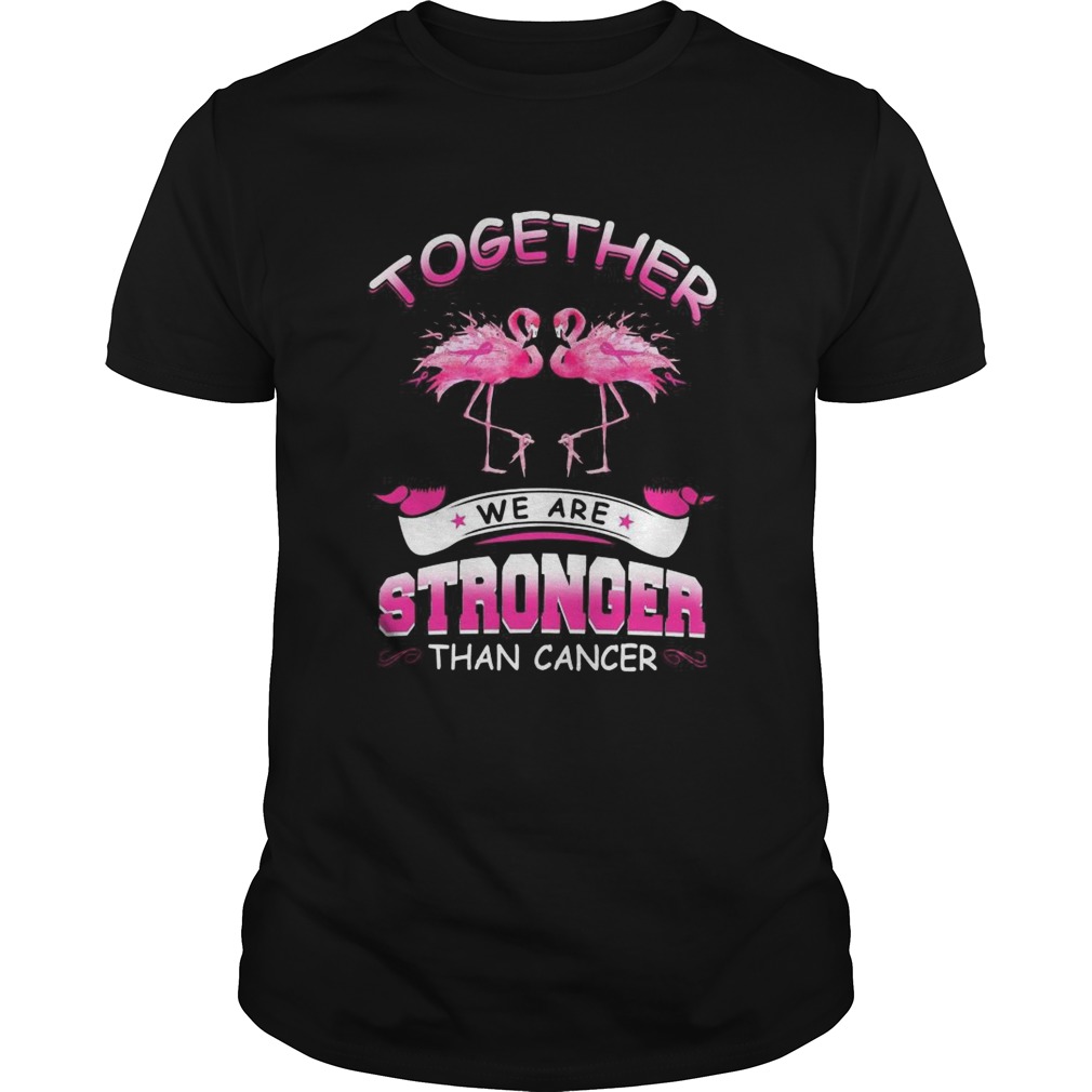 Together We Are Stronger Than Cancer shirt