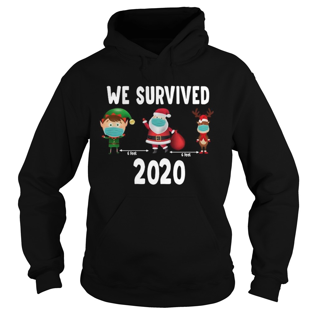 We Survived 2020 Christmas  Hoodie