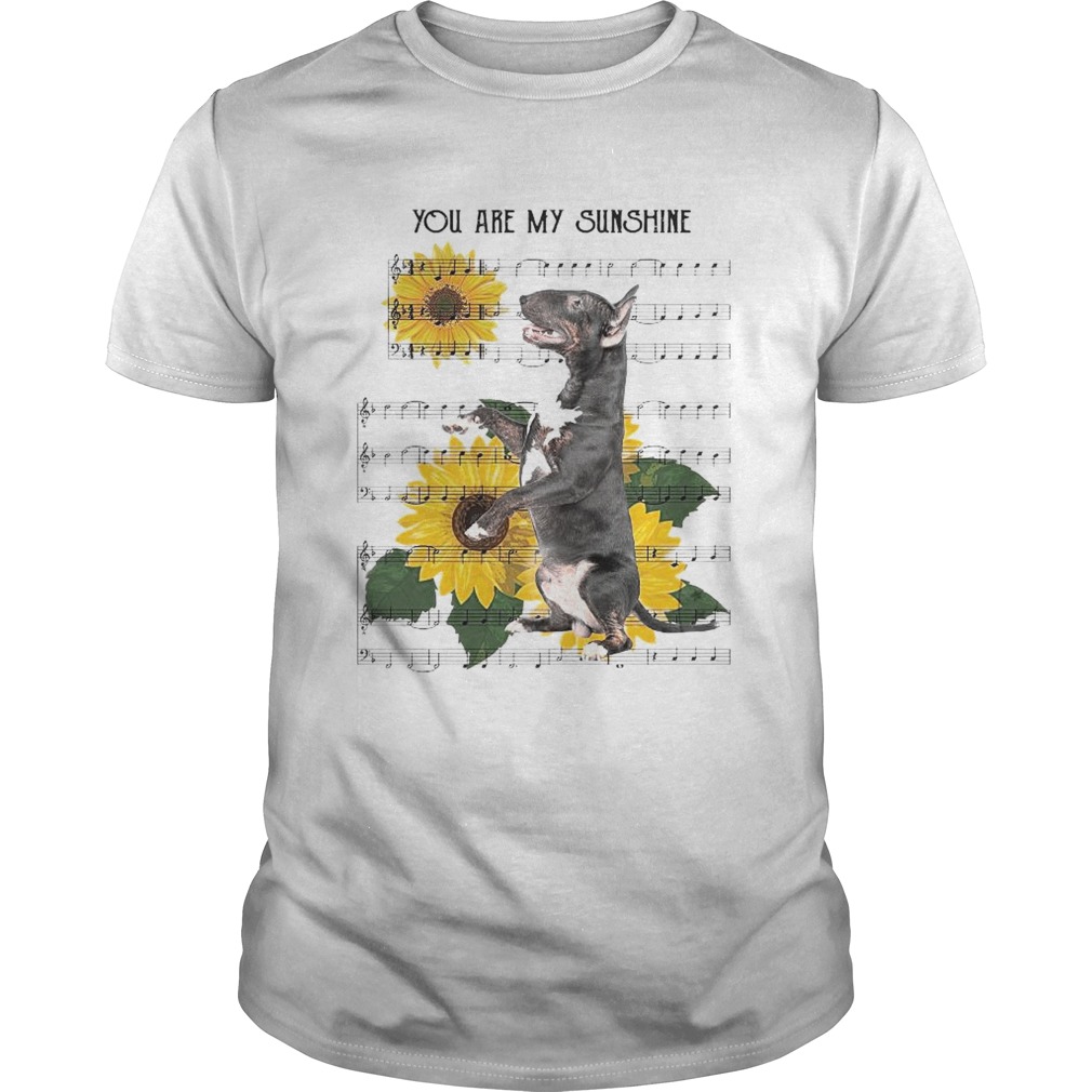 You Are My Sunshine shirt