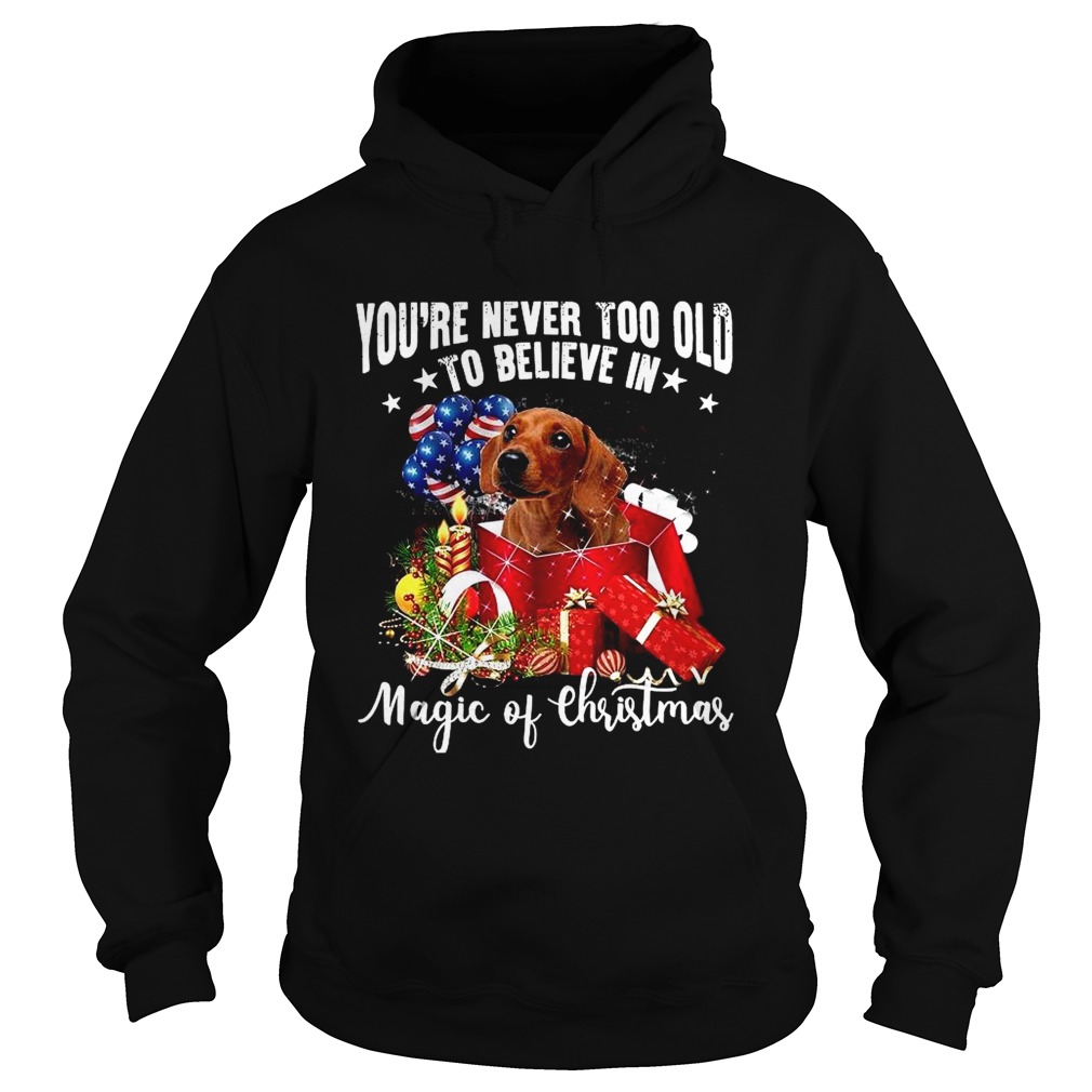 Youre Never Too Old To Believe In Magic Of Christmas  Hoodie