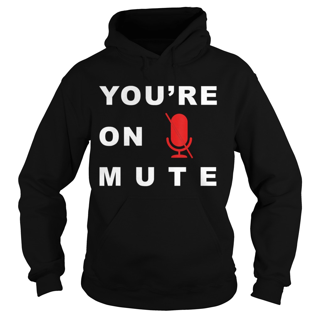 Youre On Mute Funny Quarantine Quote Novelty  Hoodie