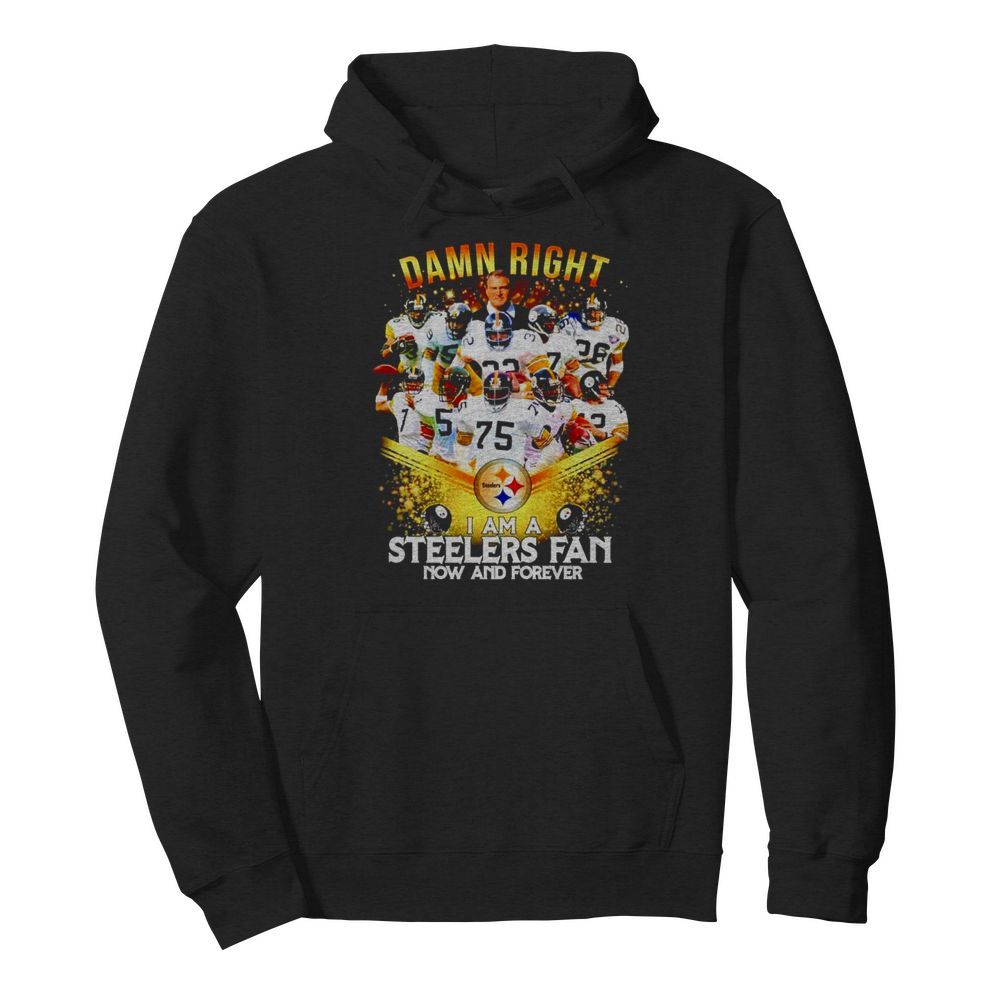 2020 damn right I am a Steelers fan now and forever  Unisex Hoodie