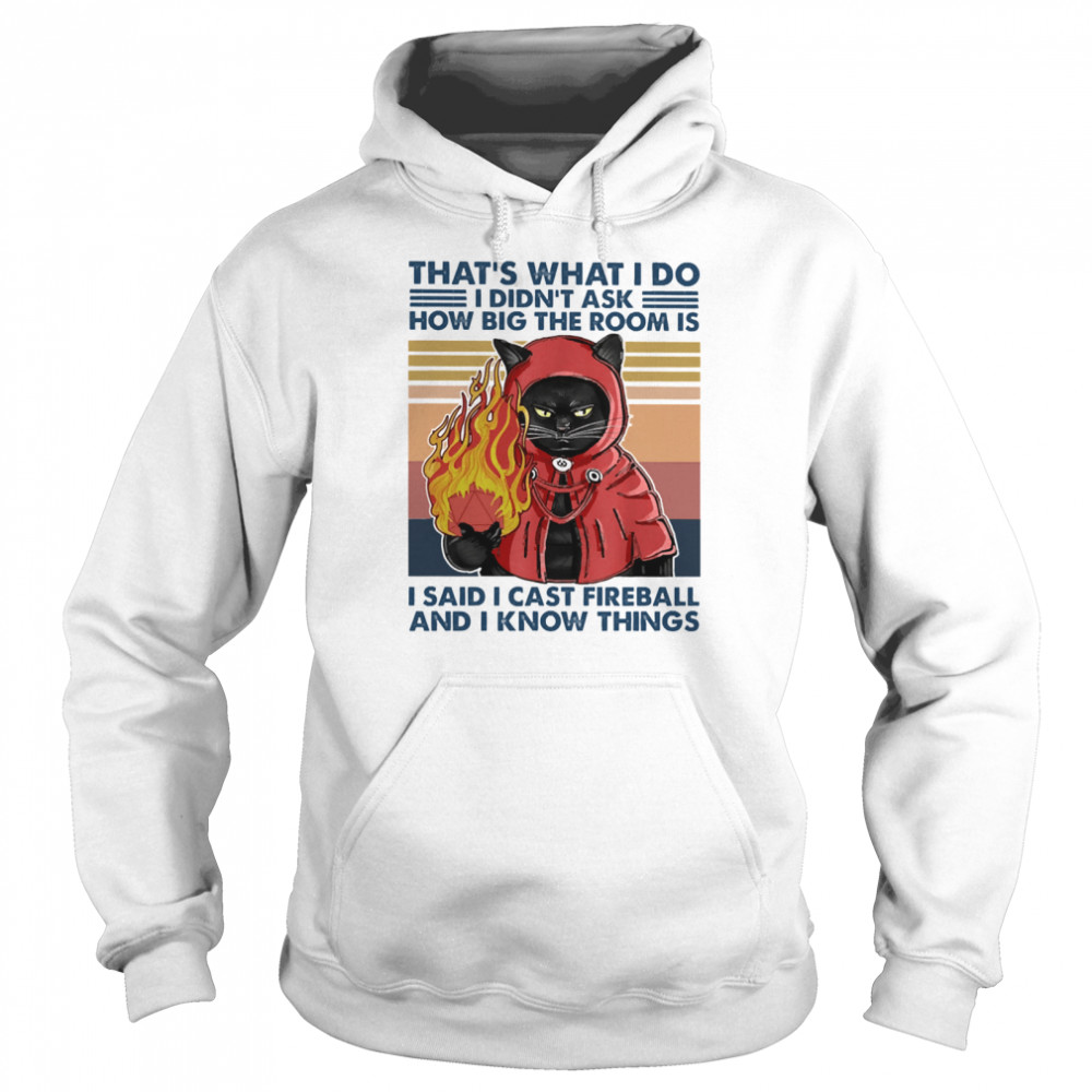 Black Cat fire thats what I do I didnt ask how big the room is I said I cast fireball and I know things vintage  Unisex Hoodie