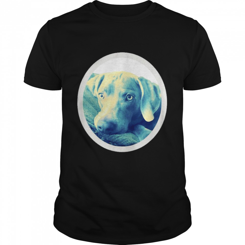 Cailey the weimaraner at rest shirt