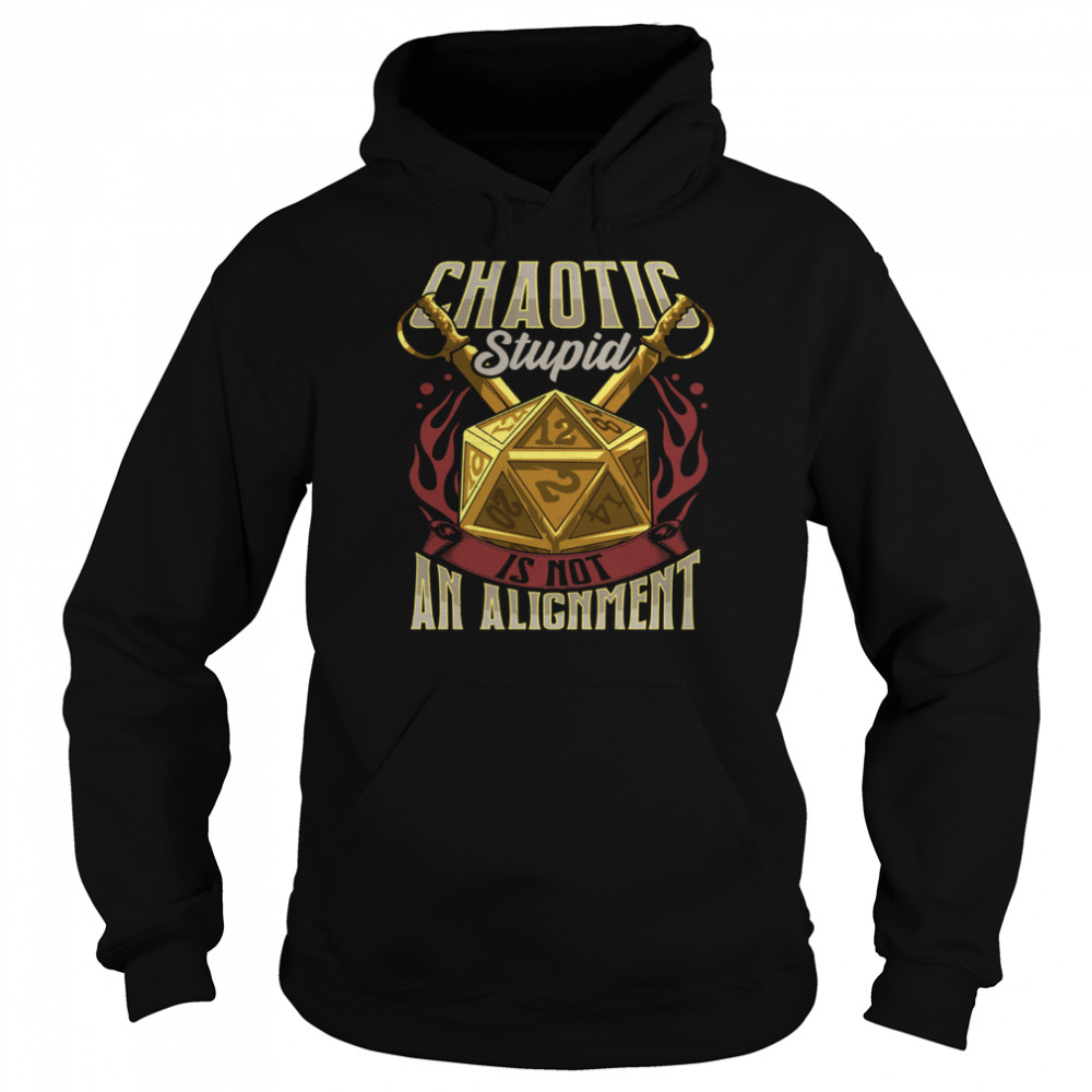 Chaotic Stupid Is Not An Alignment  Unisex Hoodie