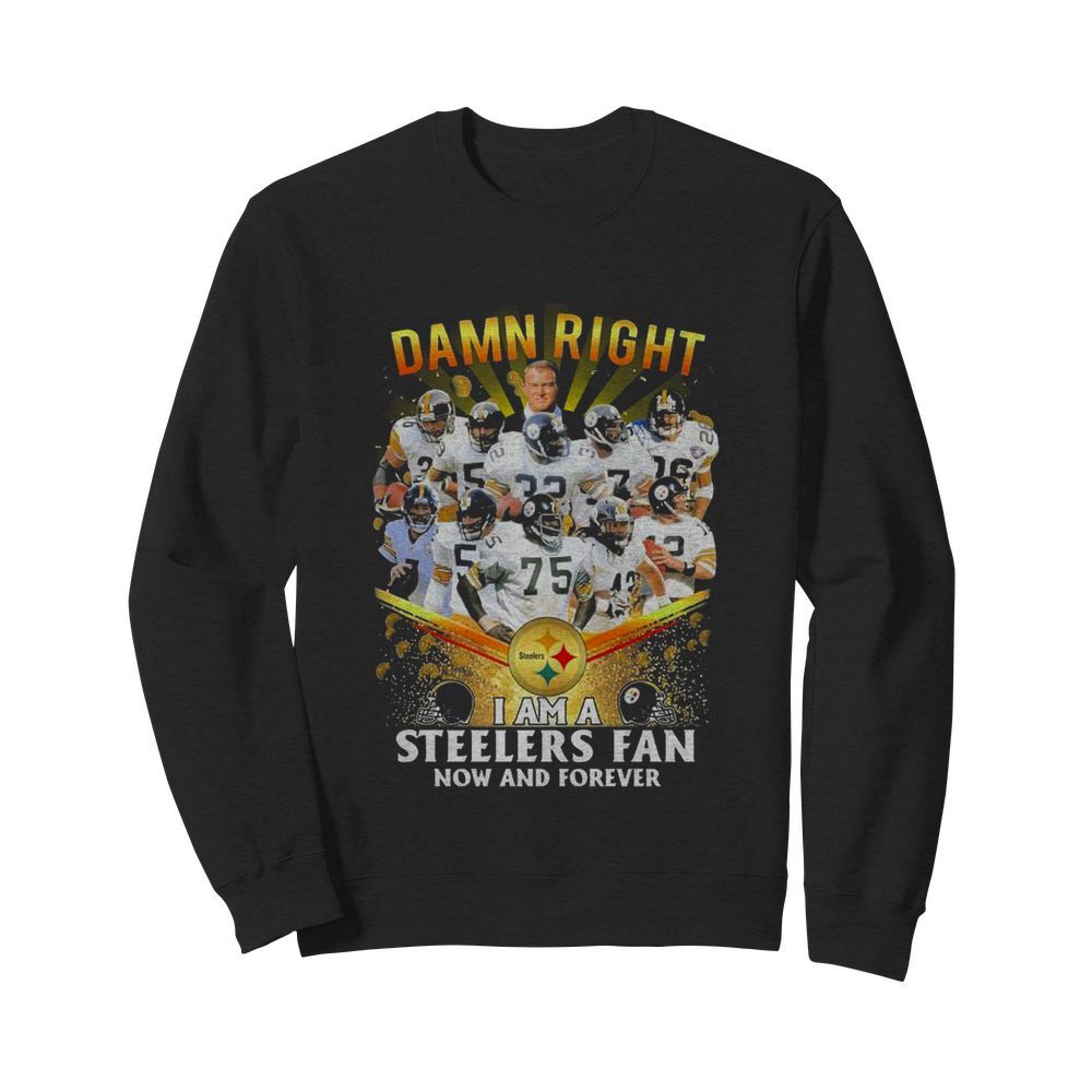 Damn Right I Am A Pittsburgh Steelers Fan Now And Forever  Unisex Sweatshirt