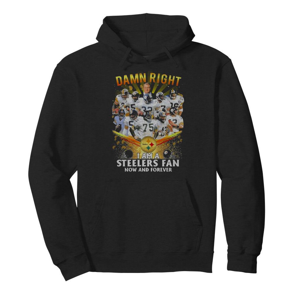 Damn Right I Am A Pittsburgh Steelers Fan Now And Forever  Unisex Hoodie