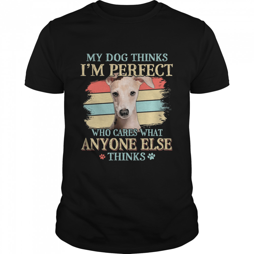 Greyhound my dog thinks Im perfect who cares what anyone else thinks shirt