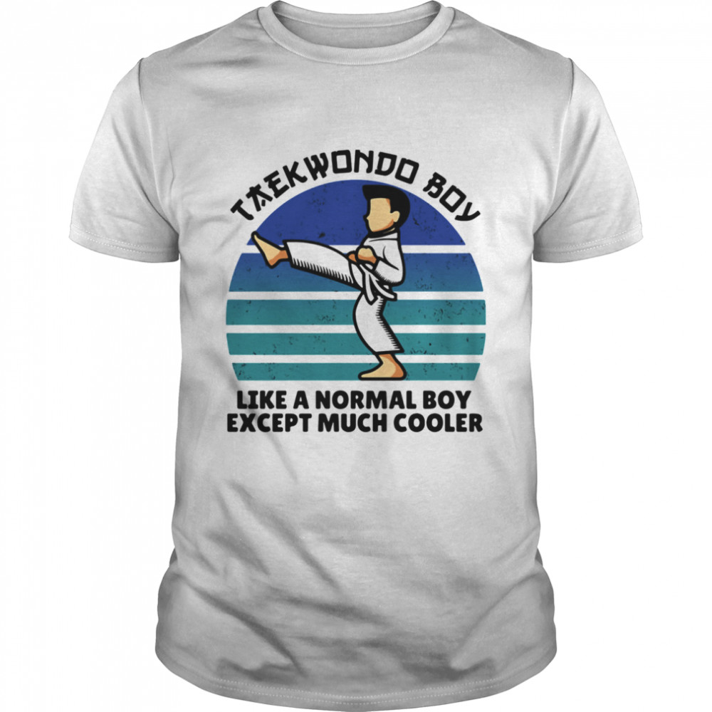 Teawondo Boy Like A Normal Boy Except Much Cooler Vintage shirt