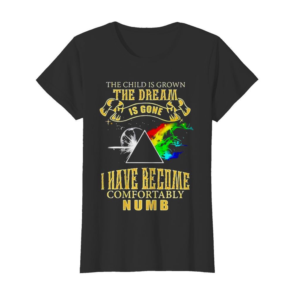 The Child Is Grown The Dream Is Gone I Have Become Comfortably Numb Moon Lgbt Pink Floyd  Classic Women's T-shirt