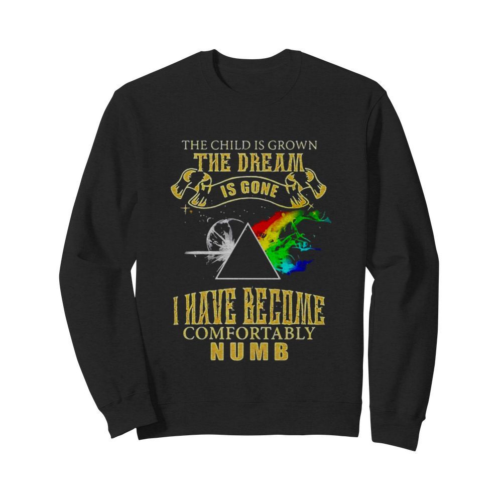 The Child Is Grown The Dream Is Gone I Have Become Comfortably Numb Moon Lgbt Pink Floyd  Unisex Sweatshirt