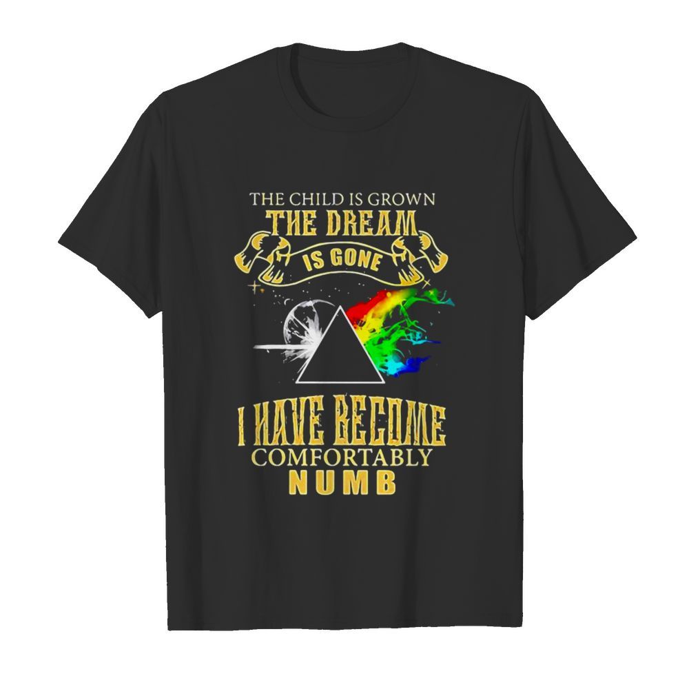 The Child Is Grown The Dream Is Gone I Have Become Comfortably Numb Moon Lgbt Pink Floyd  Classic Men's T-shirt