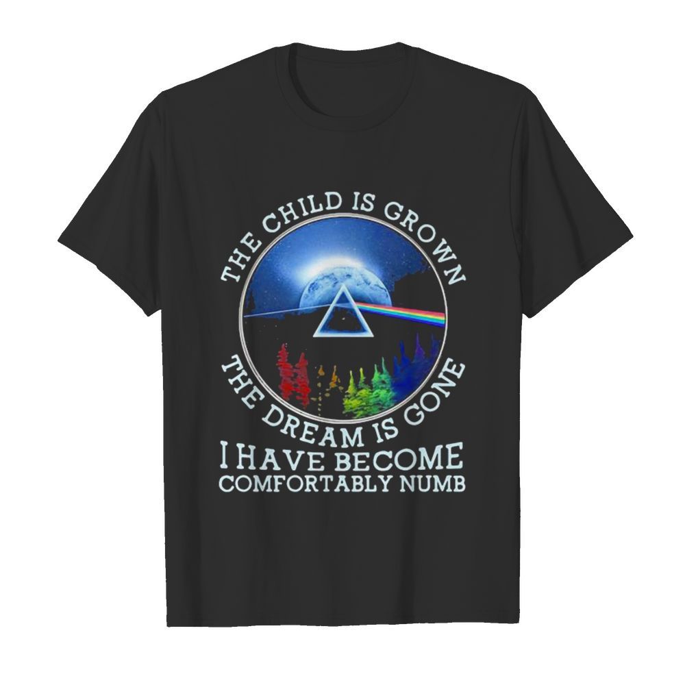 The Child Is Grown The Dream Is Gone I Have Become Comfortably Numb Pink Floyd Lgbt shirt