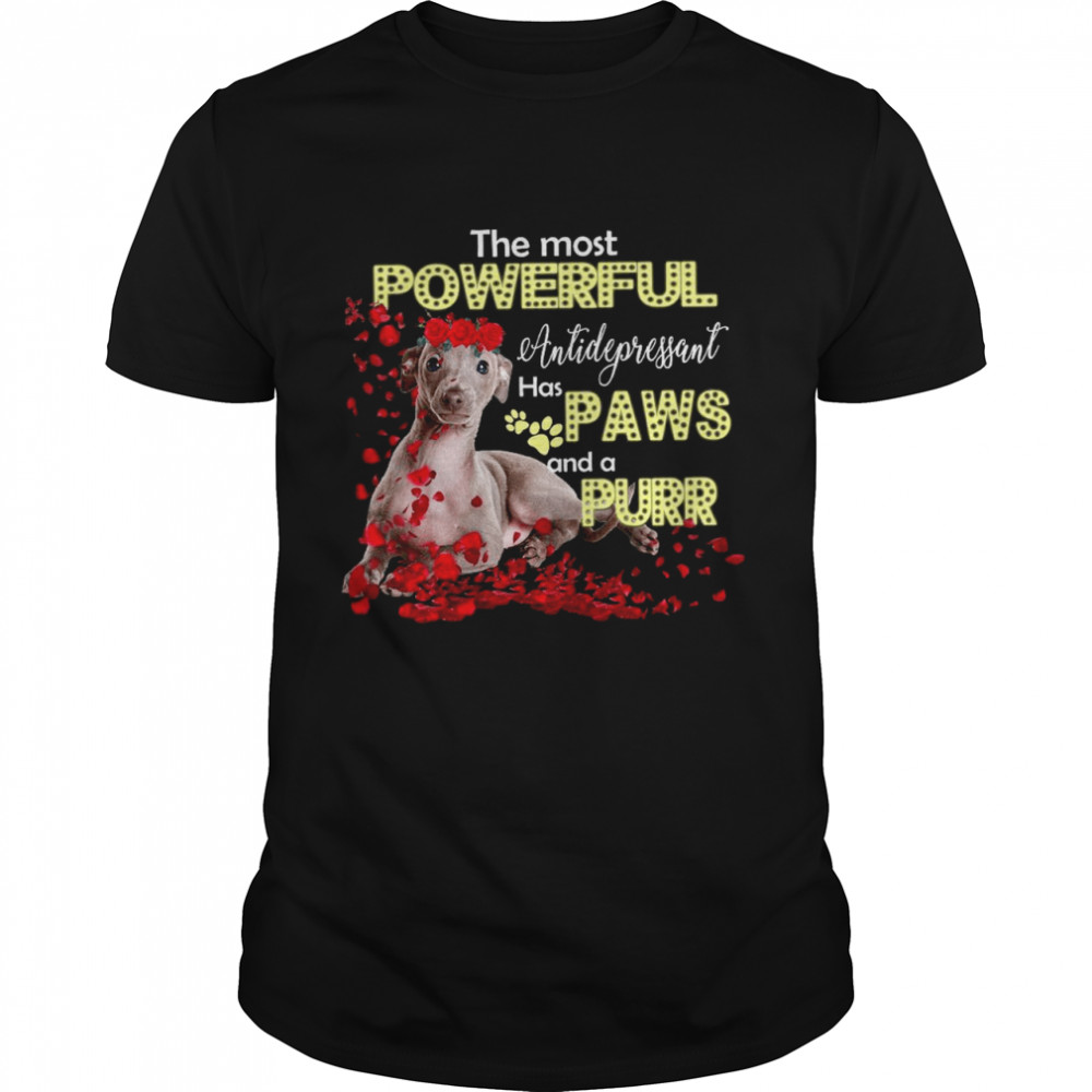 The Most Powerful Antifepressant Has Paws And A Purr shirt